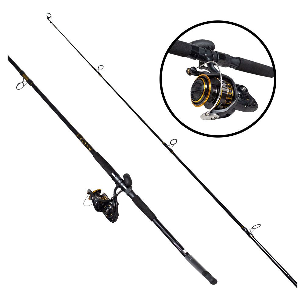 CAÑA PESCA CON CARRETE SPINNING DAIWA SW BG 45/9 BG4500/902MH