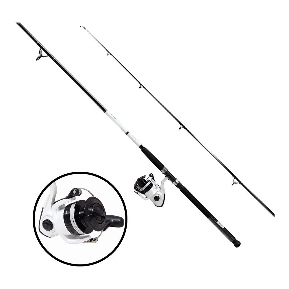 CAÑA PESCA CON CARRETE SPINNING DAIWA SW D-WAVE 50/9 DWB50-B/F902M