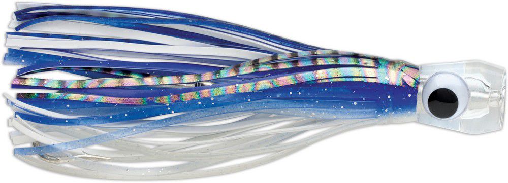 SAILFISH CATCHER 5 RGD BONITO