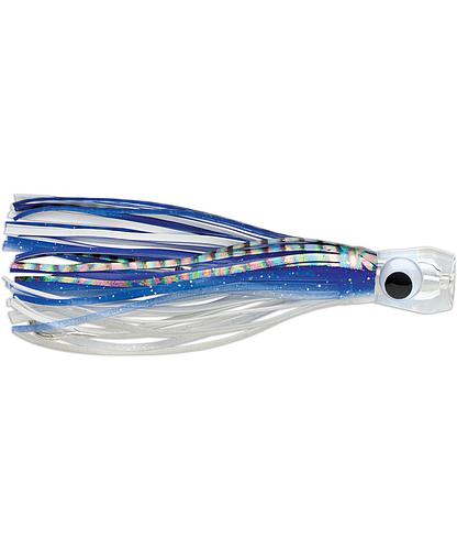 SAILFISH CATCHER 5 RGD BONITO