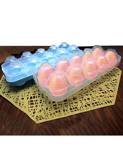 DEPOSITO PLASTICO PARA HUEVOS CON TAPADERA 10 ESPACIOS 13674